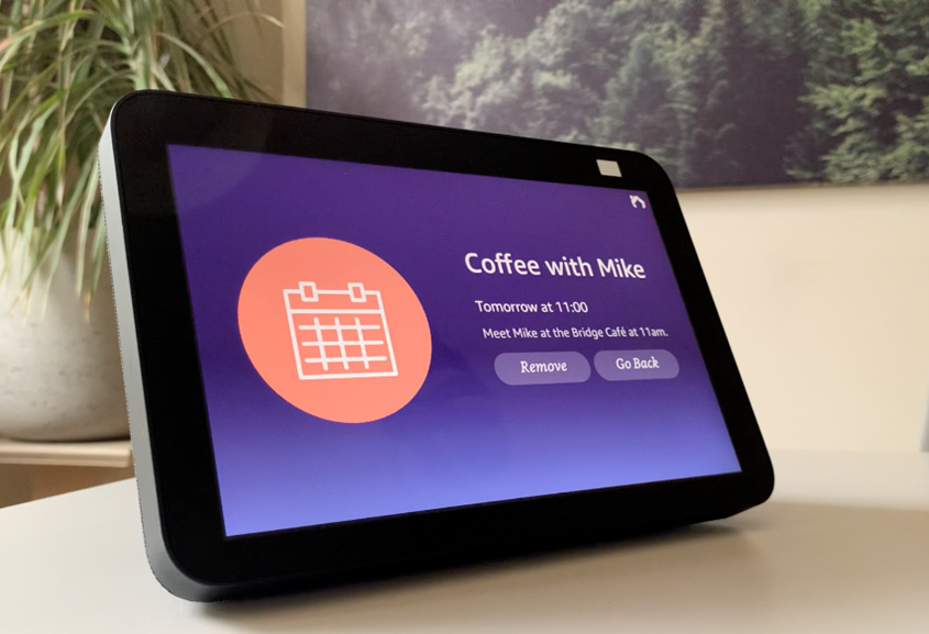 Alexa device running the HomeCare smart home companion