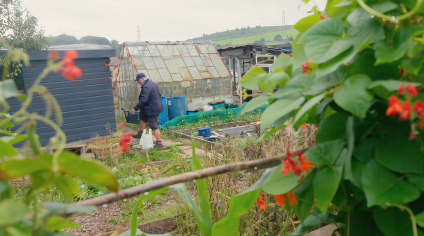 man in garden